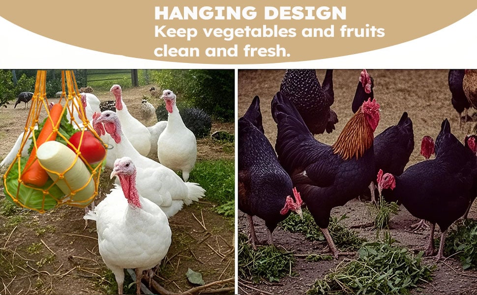 chicken feeder