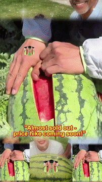 gif.mp4 [video-to-gif output image]