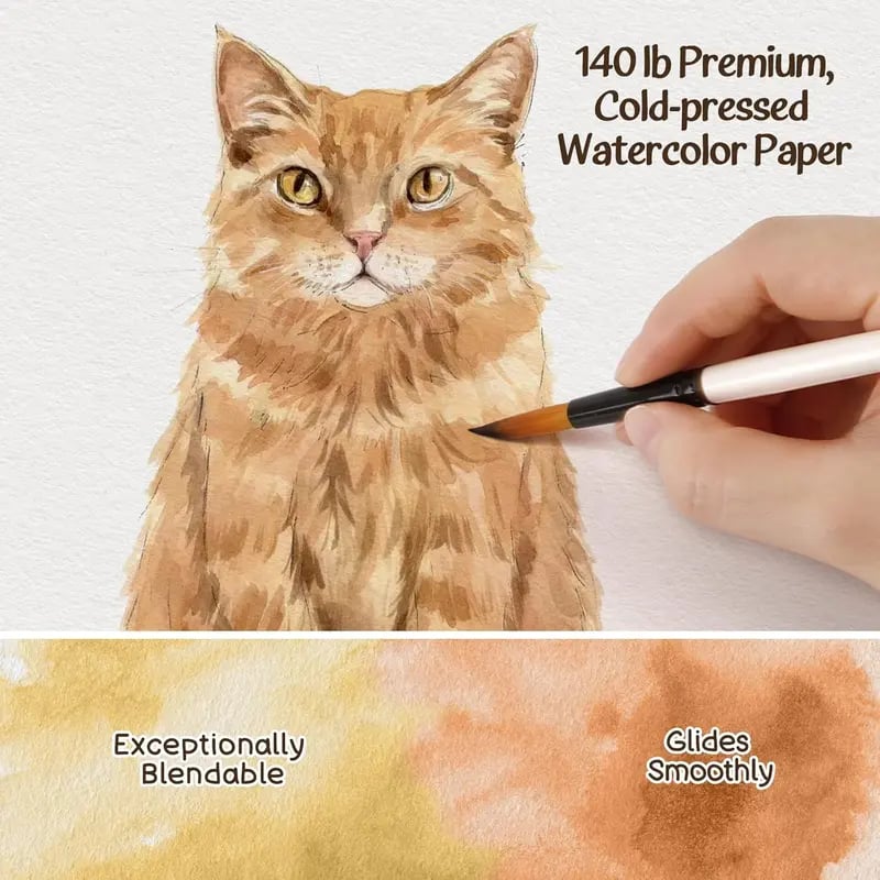 Contents of beginner watercolor animal workbook including paints and brushes