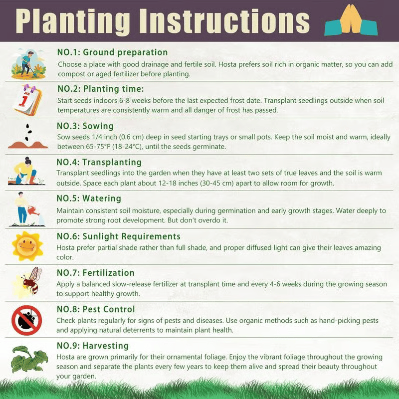 Hosta garden care