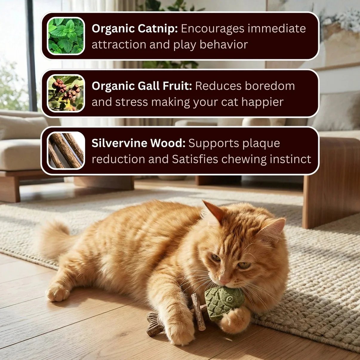 Cat chewing natural stick
