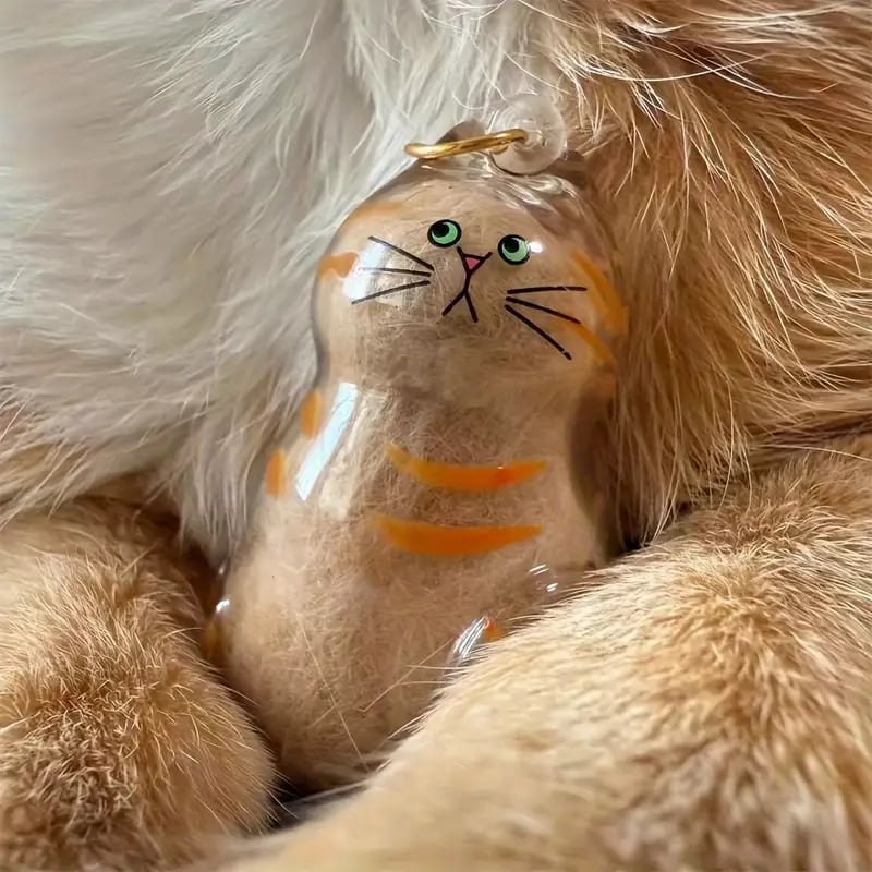 keepsake set   fur collection box keychain capsule memorial gifts for pet loss grief support for pet owners 1