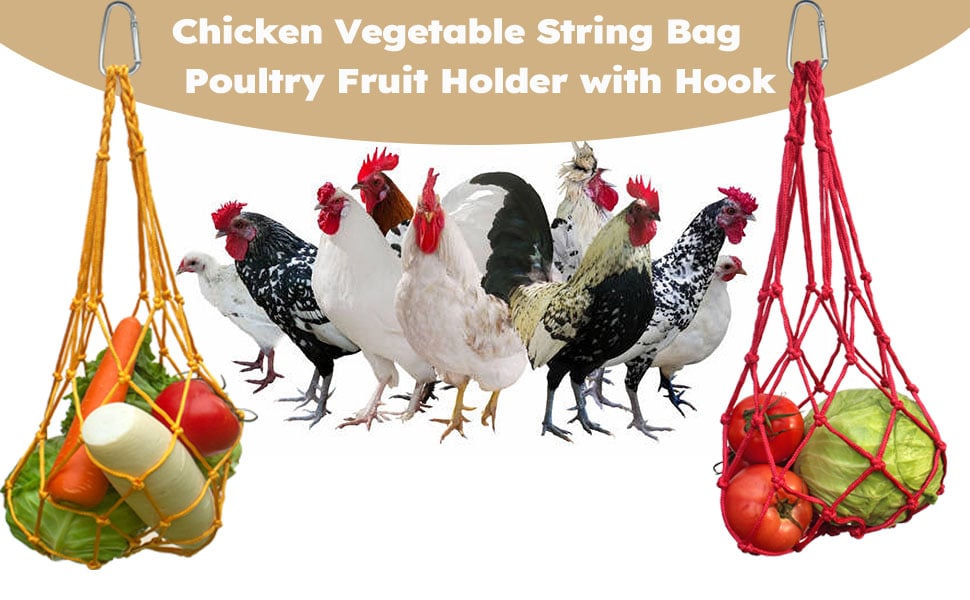 chicken toys