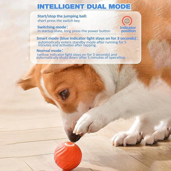 Interactive Automatic Dog Toy Ball – USB Rechargeable, Moving Bouncing, Squeaky