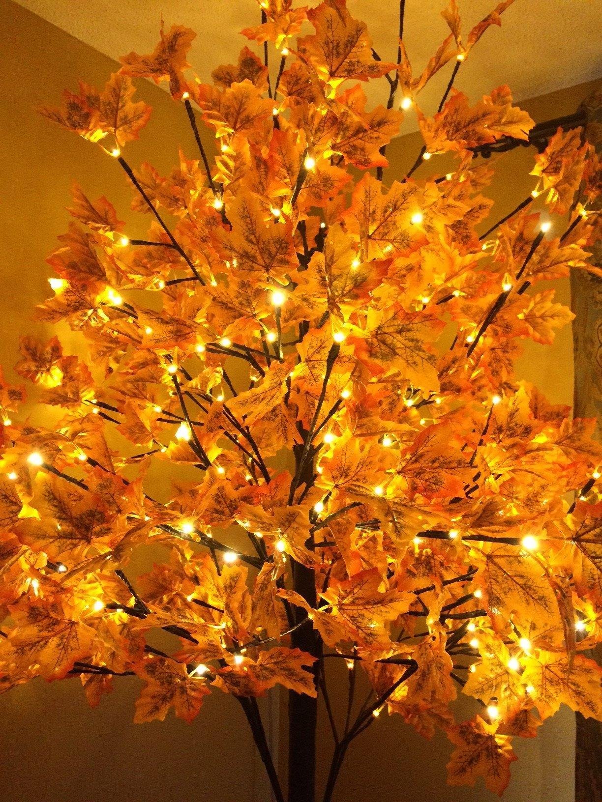 great tree!
