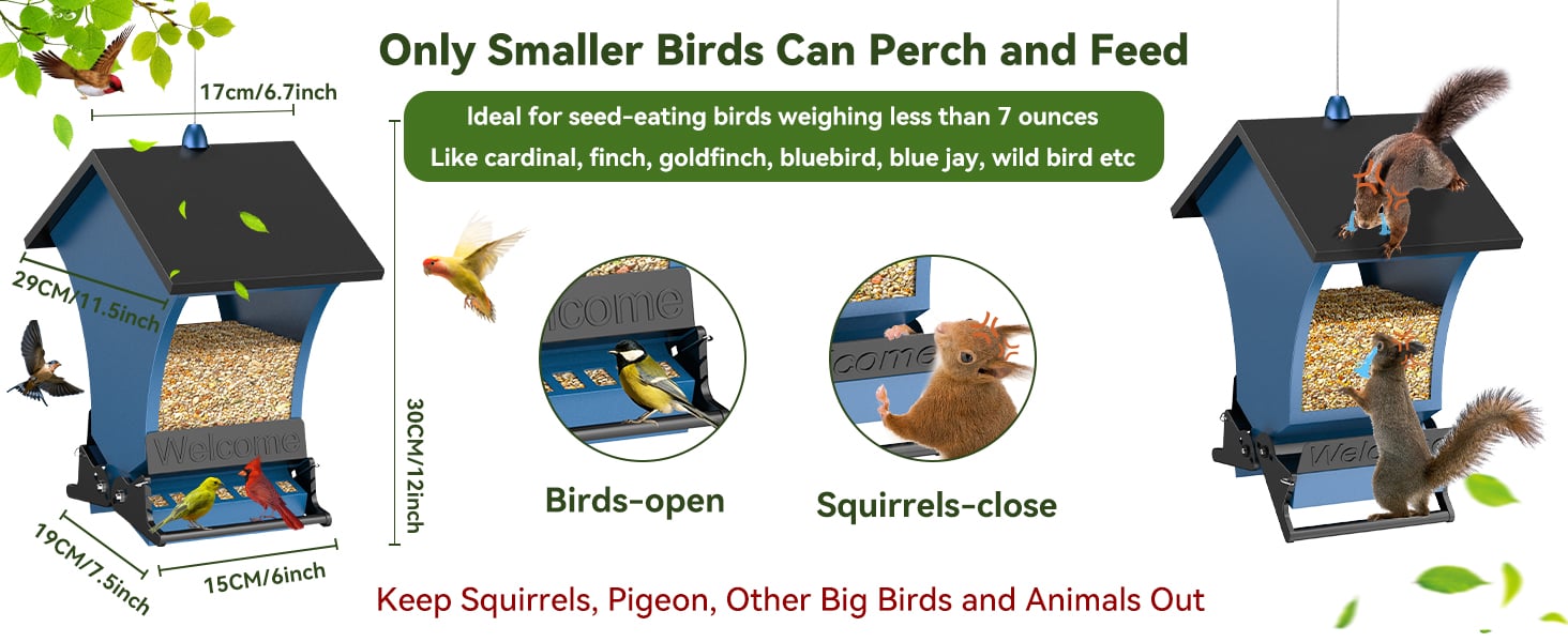 Squirrel-Proof Bird Feeder for Outdoor