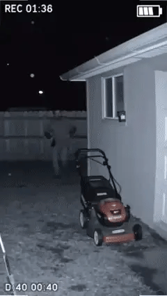 Solar motion sensor animal deterrent alarm hero