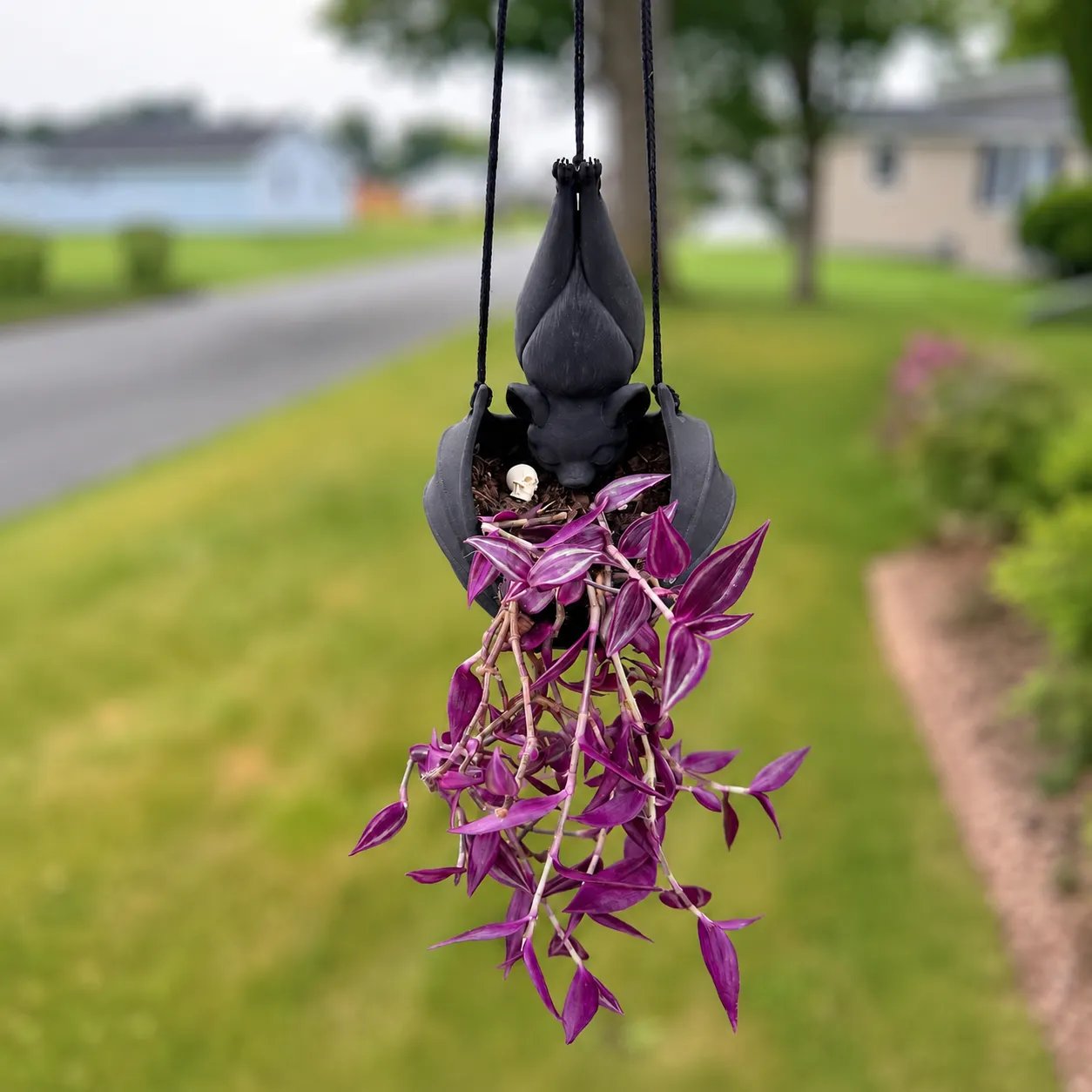 🎁Last Day 60% OFF - Hanging Bat Plant Pot 🎁Last Day 60% OFF - Hanging Bat Plant Pot