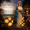 💗Virgin Mary Garden Light 💗Virgin Mary Garden Light