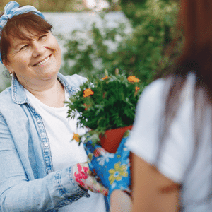 victory garden gardening gifts for women and men plant gardeners semillas de vegetales para sembrar victory garden gardening gifts for women and men plant gardeners semillas de vegetales para sembrar