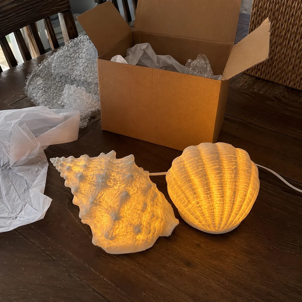 Shell lights fresh out of shipping box