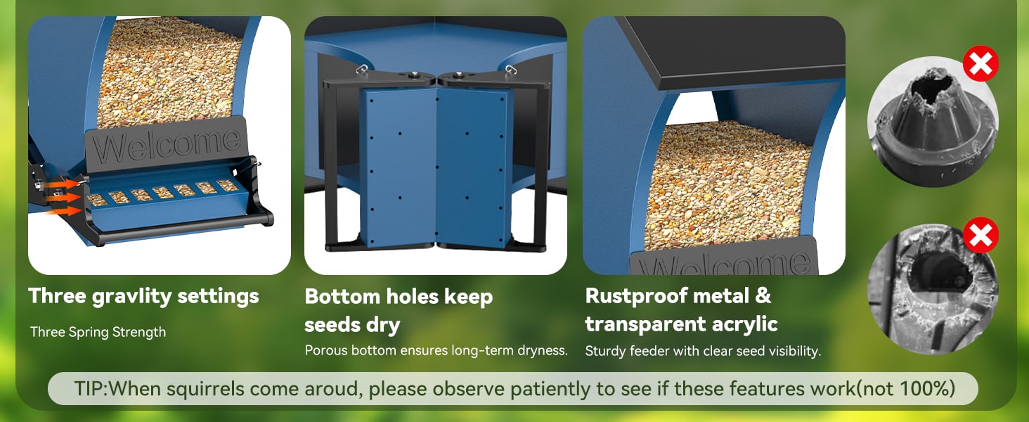 Metal Bird Seed Feeder for Outdoors Hanging Chew-Proof