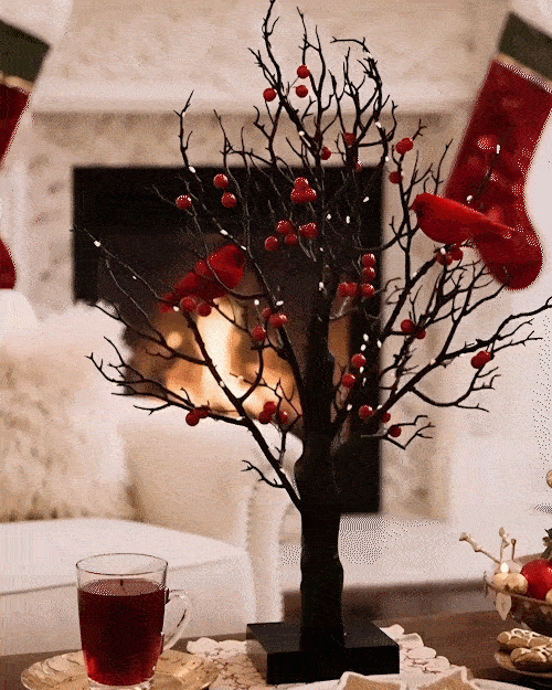 https://cdn.webfastcdn.com/image/c5b81ae6672ff67146417e1e8fa2c462877490fc.gif