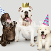 PET SUPPLIES