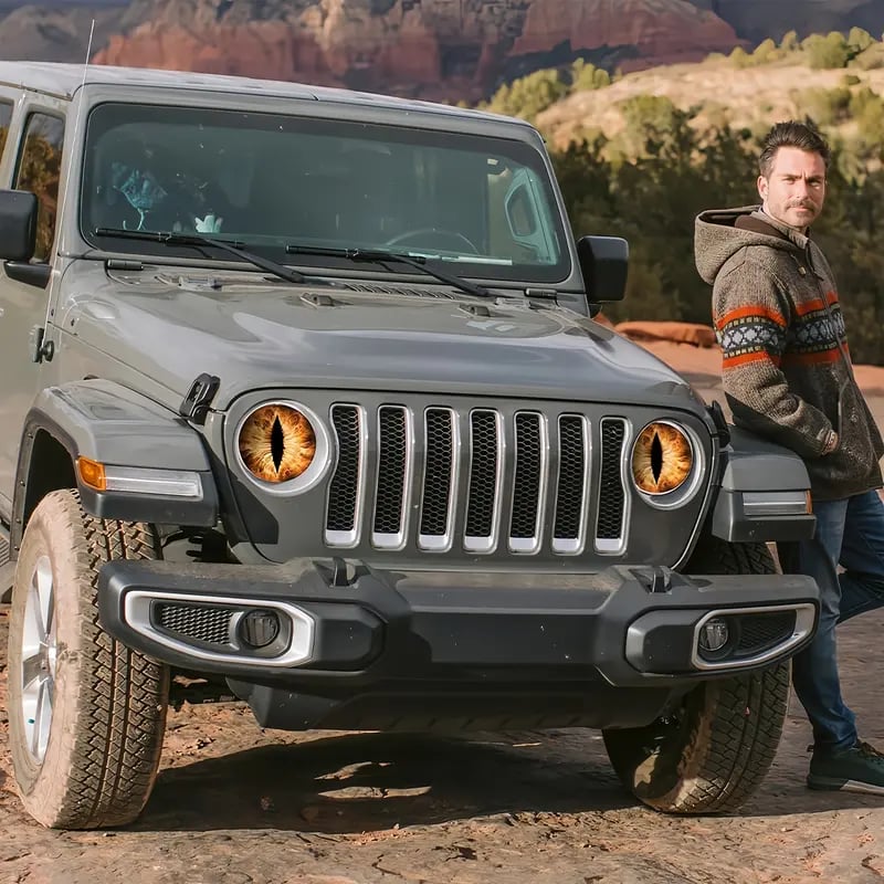 Purple Butterfly Flowers in Bloom Purple Butterfly Flowers in Bloom