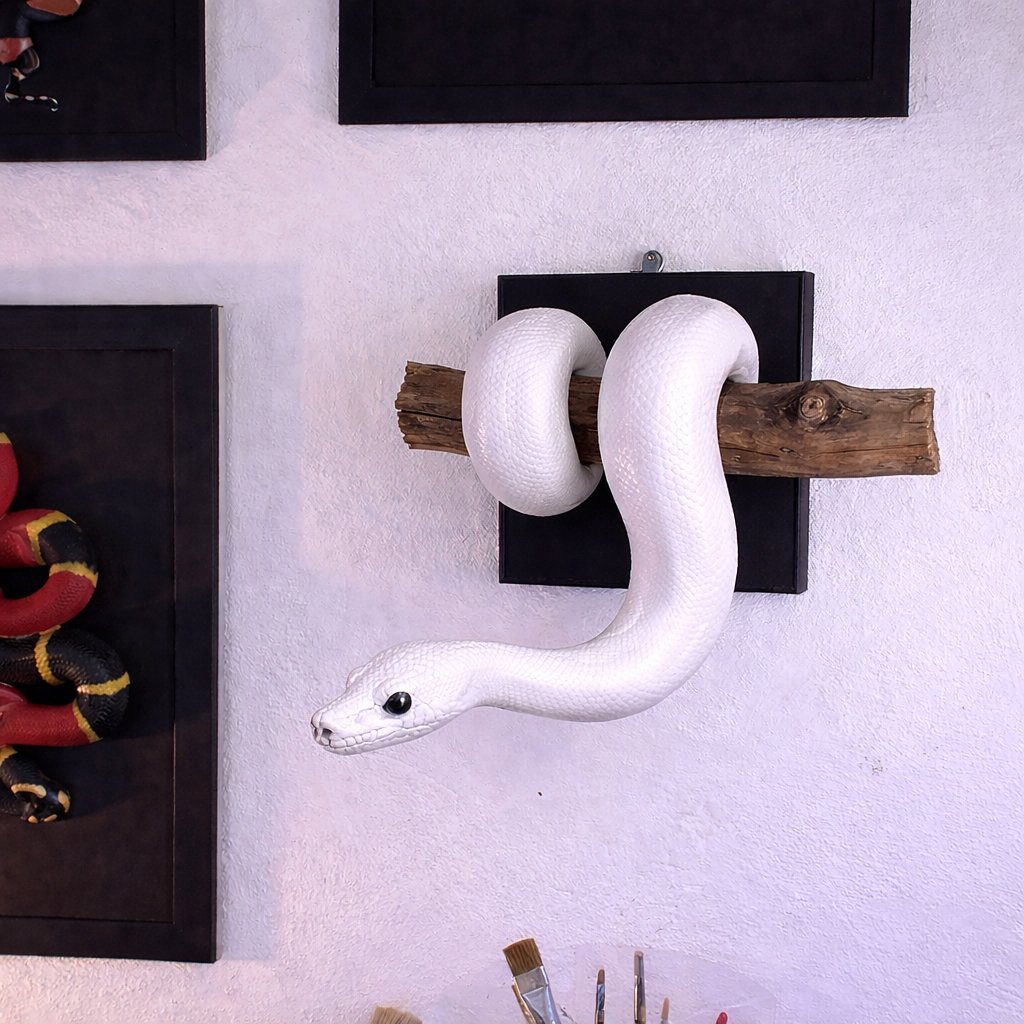Product Display