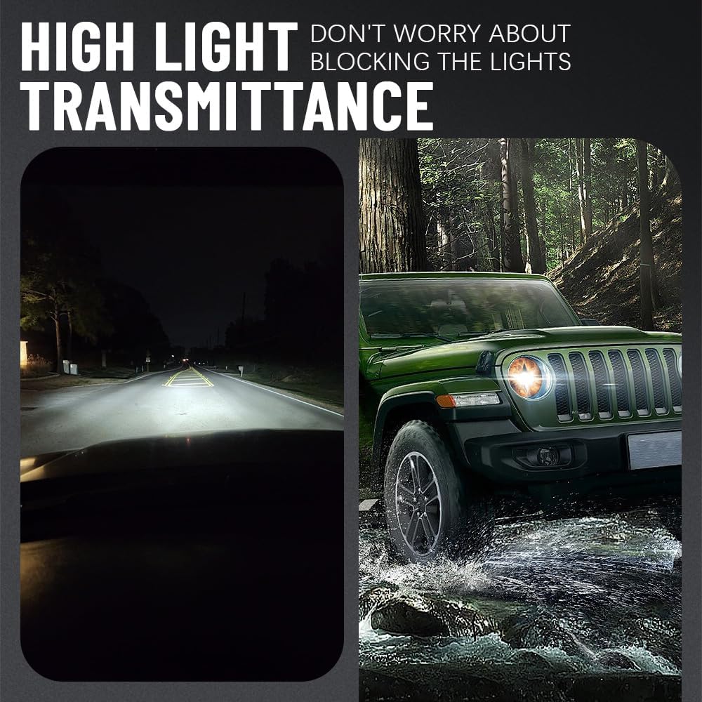 Purple Butterfly Flowers in Bloom Purple Butterfly Flowers in Bloom