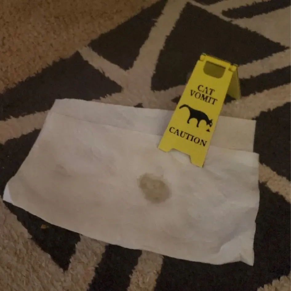 Mini Cat Vomit Sign – Geitepor