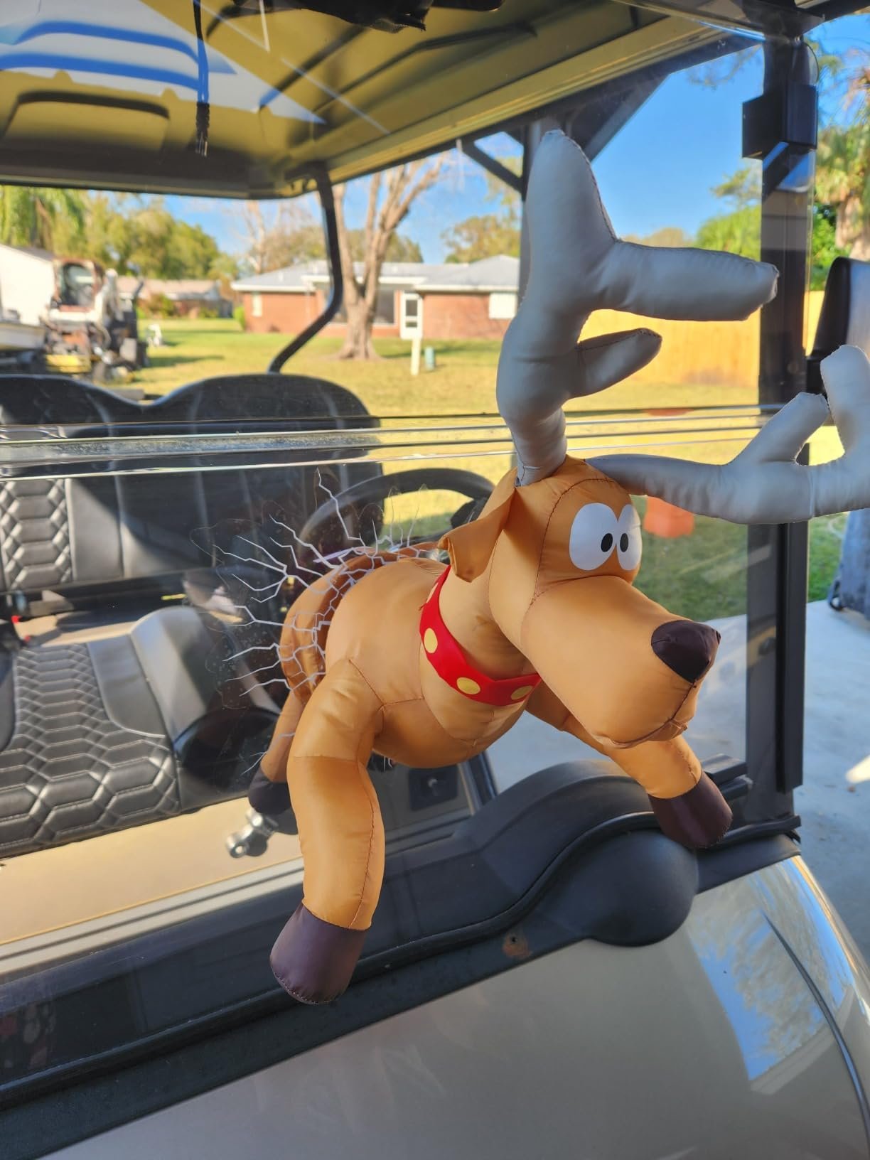 Cute through window deer. Cute through window deer.