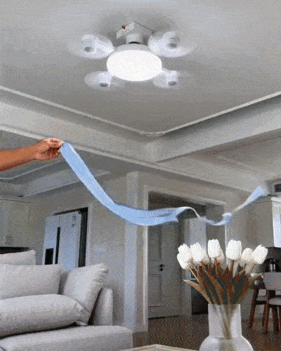 E27 socket ceiling fan light demo