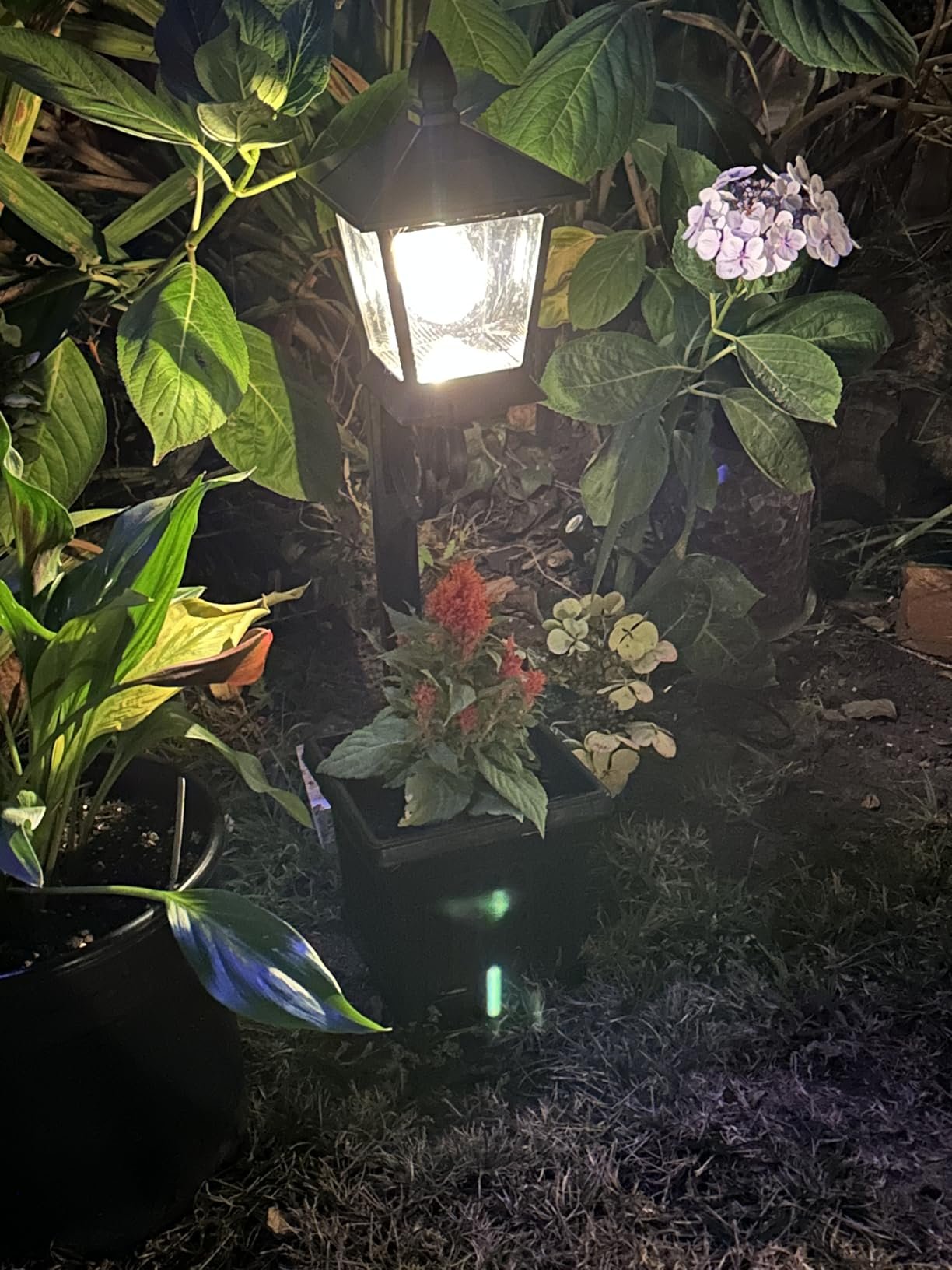 Not just decor, an essential light that outshines the rest and a flower pot too!