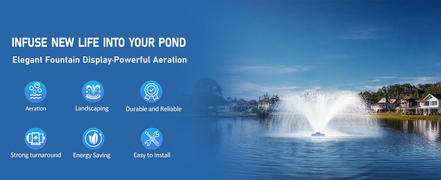 Pond