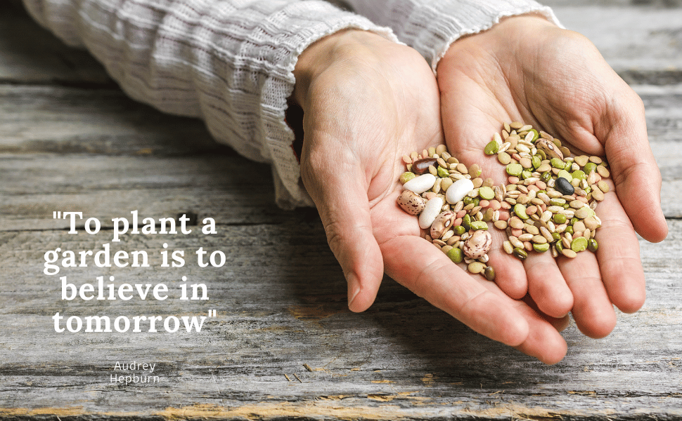 nuclear Survival gear and equipment prepping supplies zombie apocalypse vegetable seeds for planting nuclear Survival gear and equipment prepping supplies zombie apocalypse vegetable seeds for planting