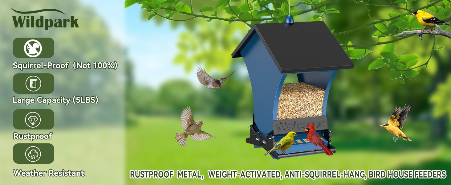 Squirrel Proof Bird Feeder for Outdoors Hanging