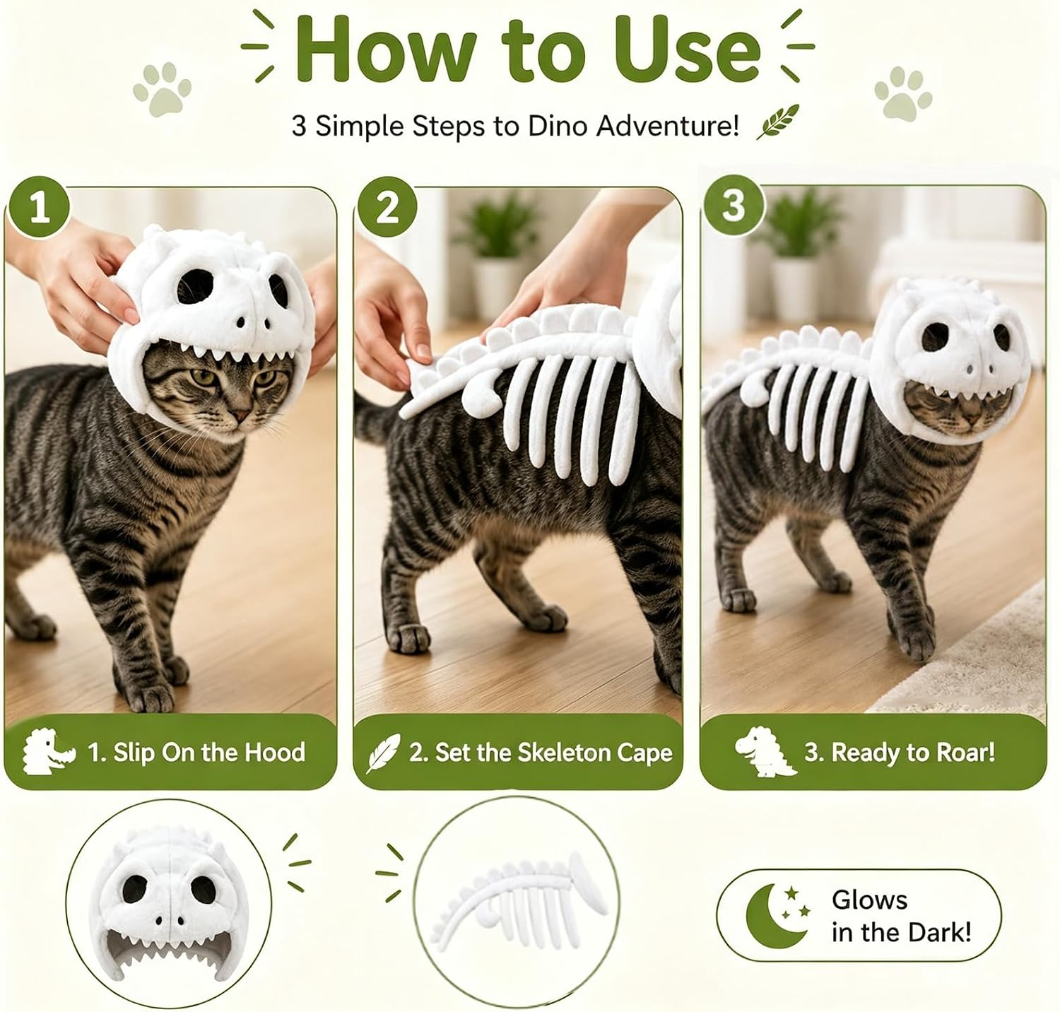 Three simple steps for putting the dinosaur skeleton costume on a cat