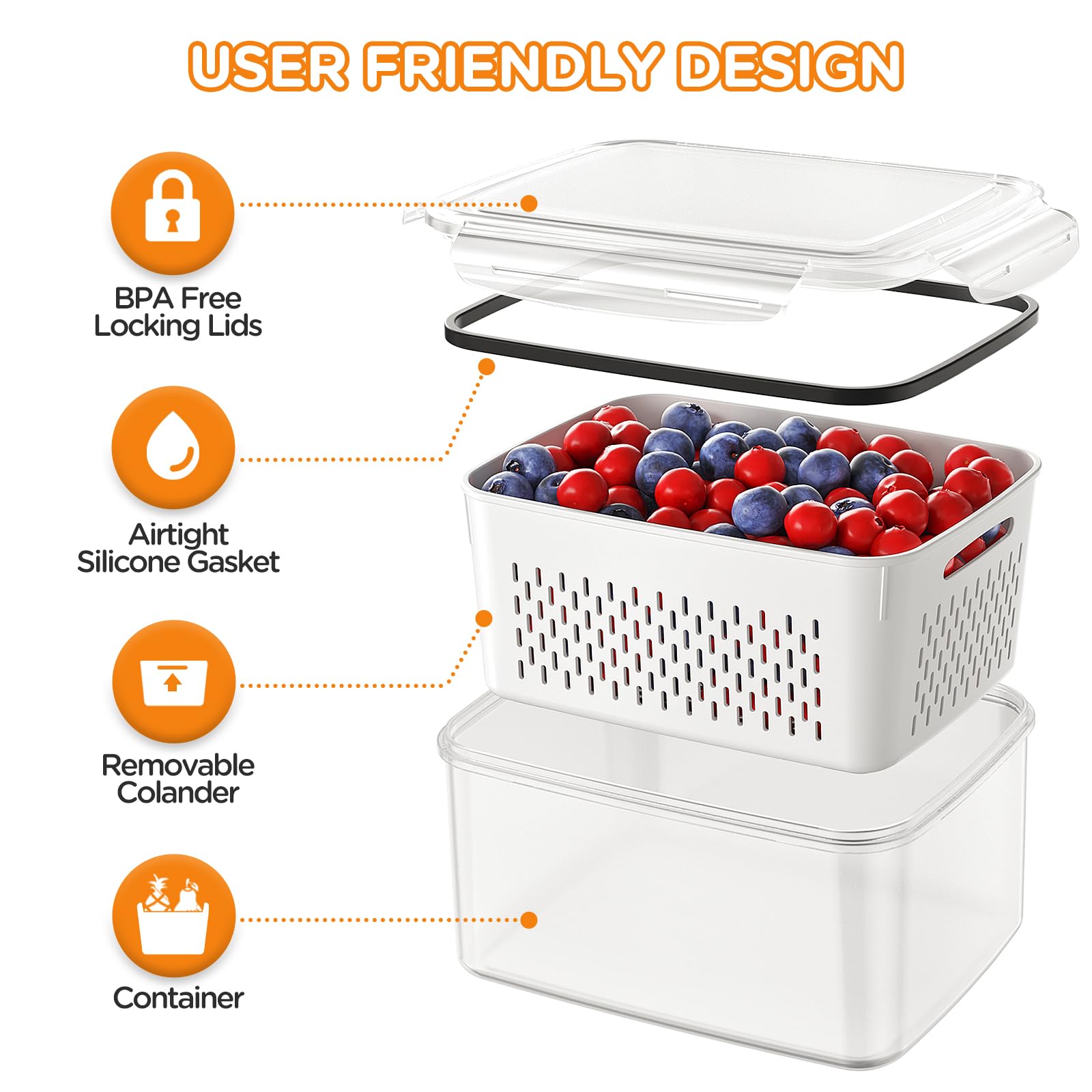 Food grade PP BPA free produce storage containers
