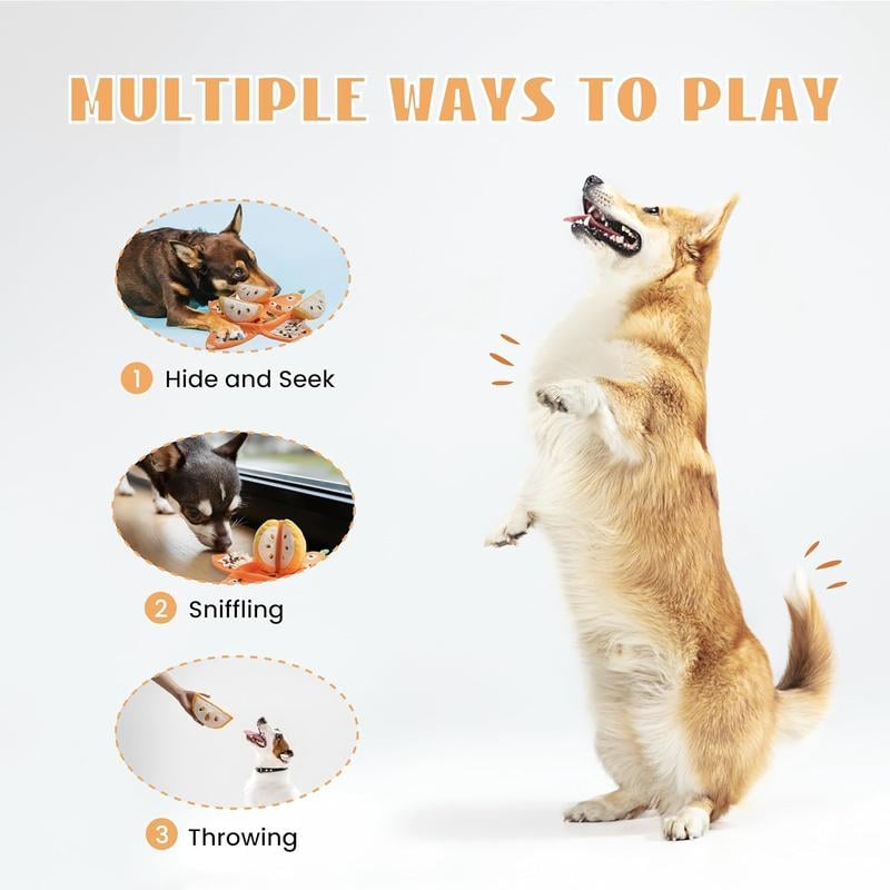 Multiple ways to play: hide and seek, sniffing, throwing