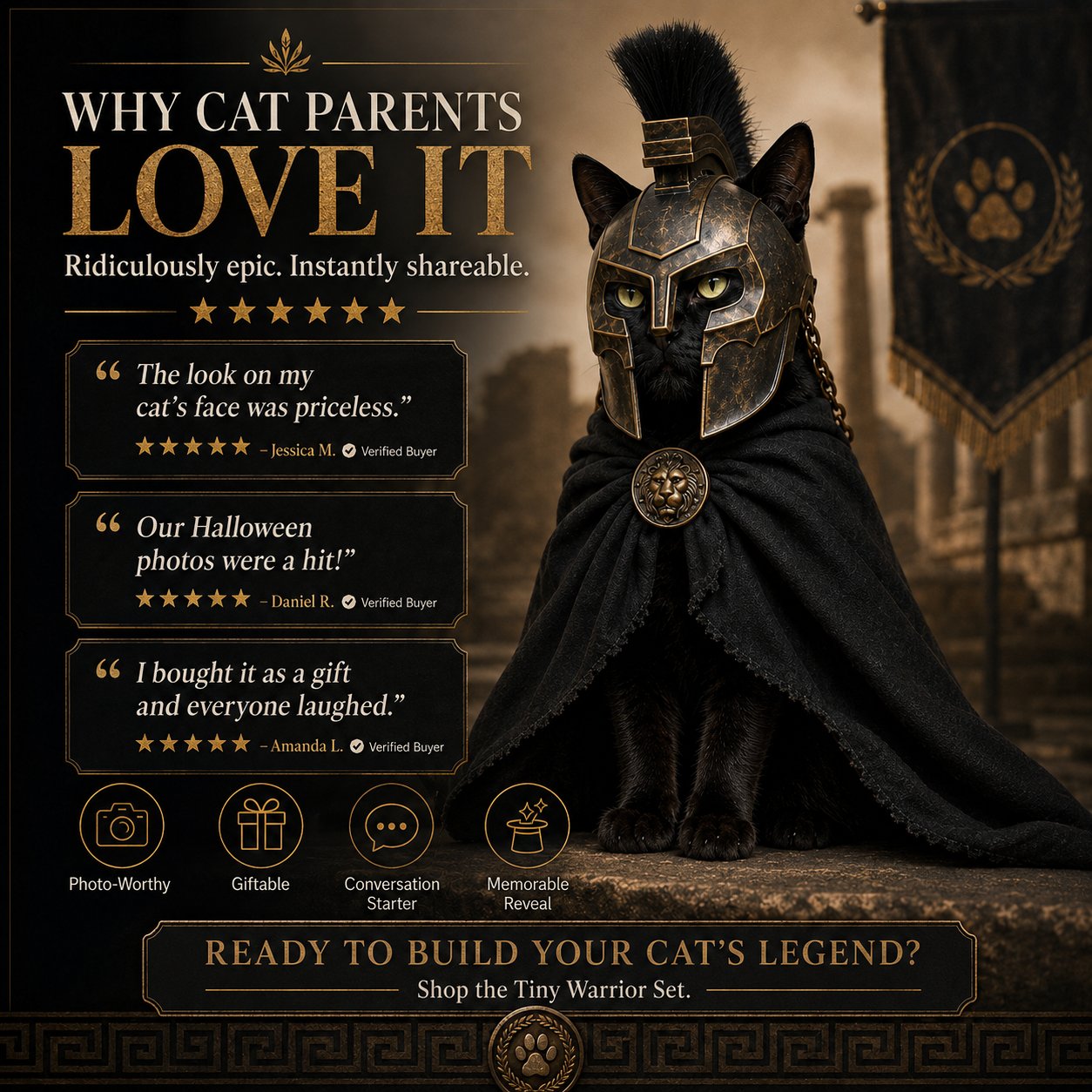 Armageddon Cat Helmet details