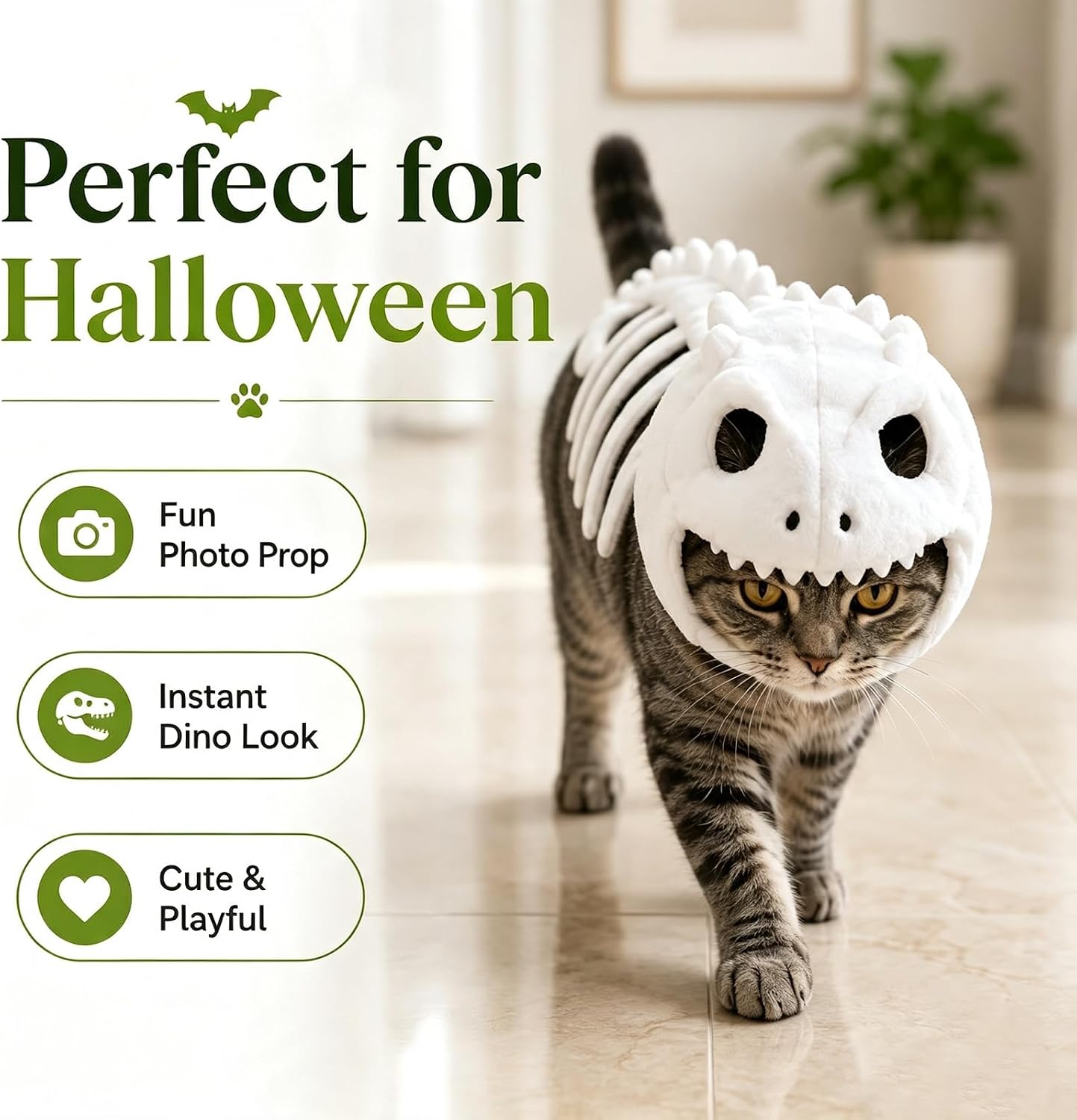 Cat walking toward the camera in a white dinosaur skeleton costume