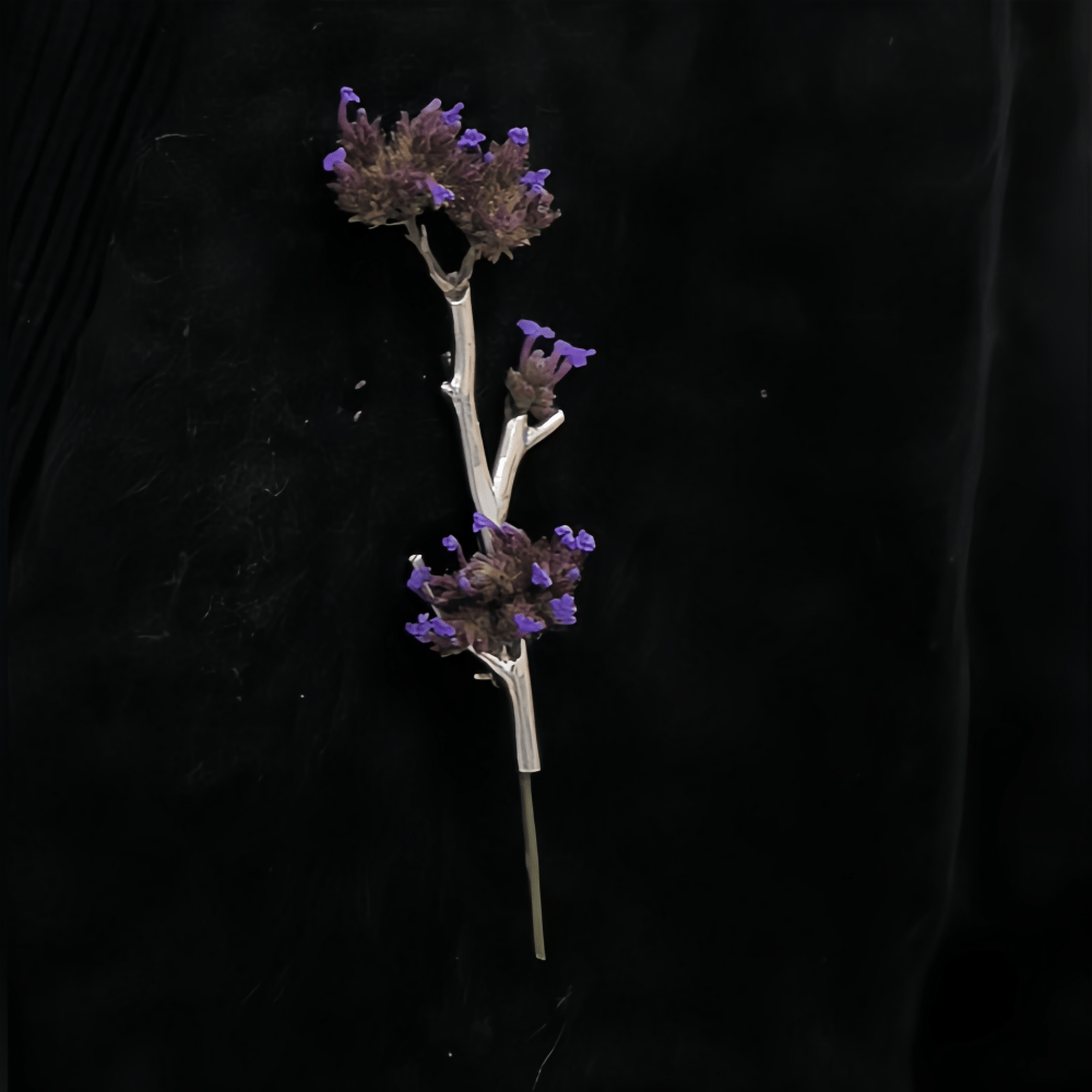 Silver branch brooch holding lavender flowers
