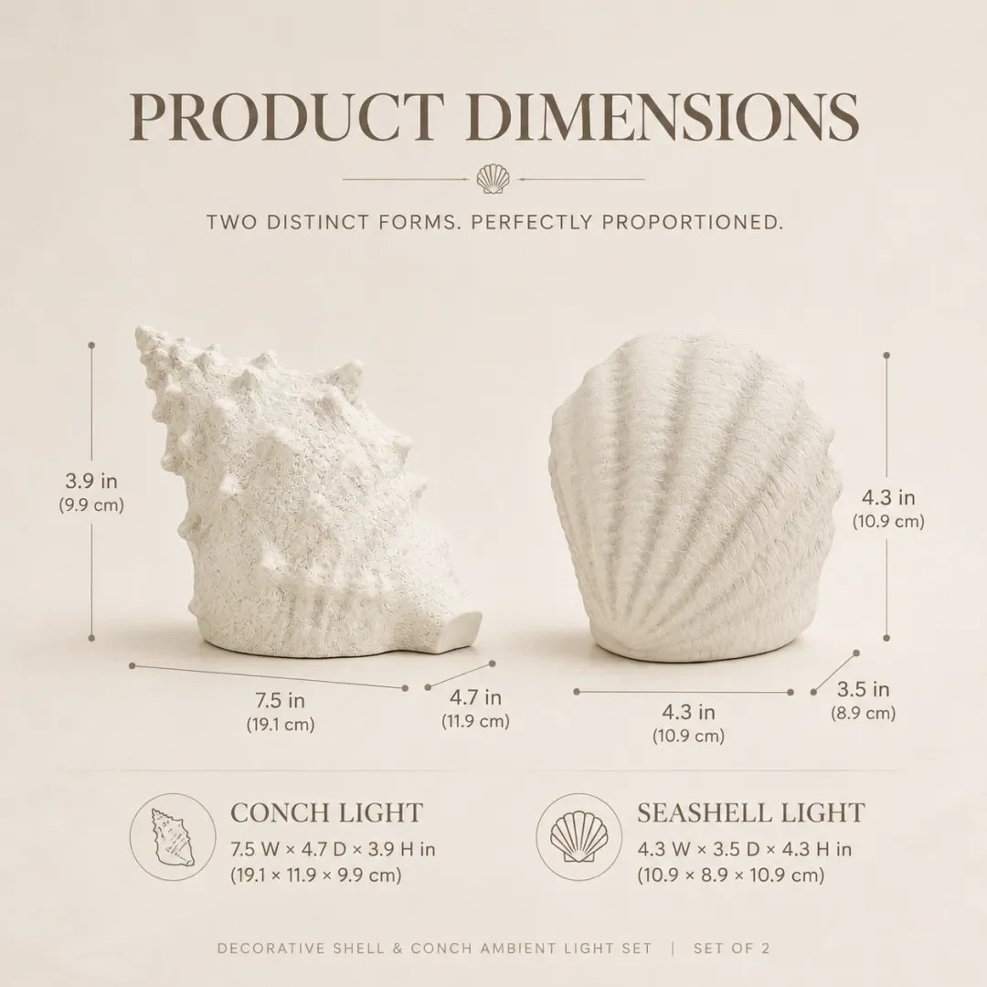 Coastal shell and conch light dimensions