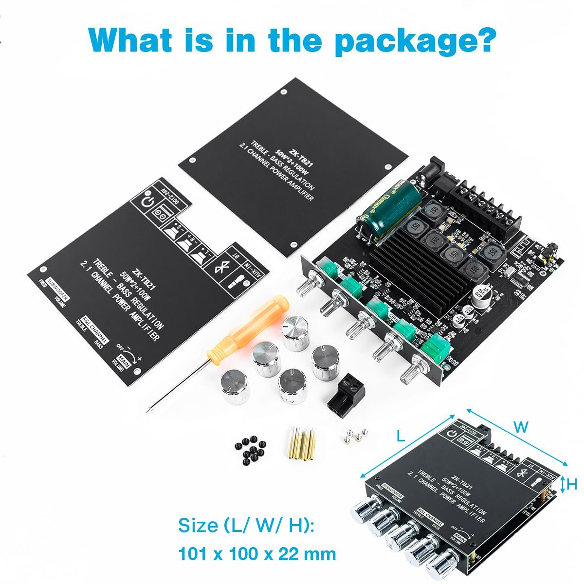 Speaker Amplifier Module