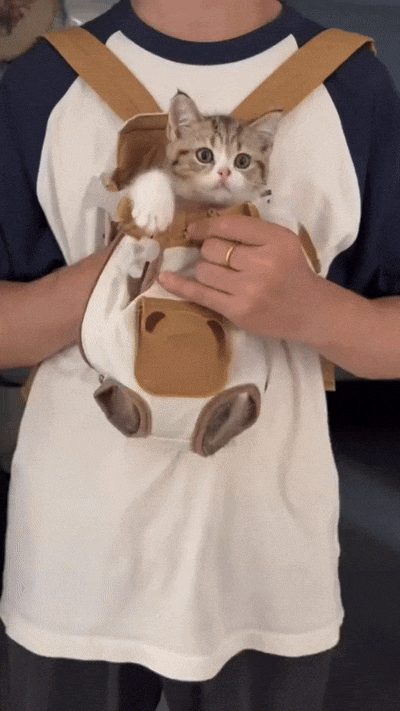 Breathable front pet carrier backpack for cats and small dogs