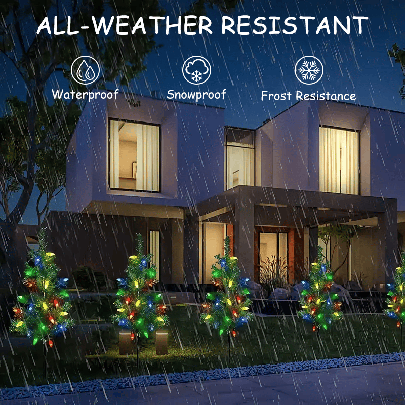 Purple Butterfly Flowers in Bloom