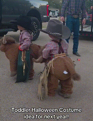 Highland Cow costume movement and fluffy detail