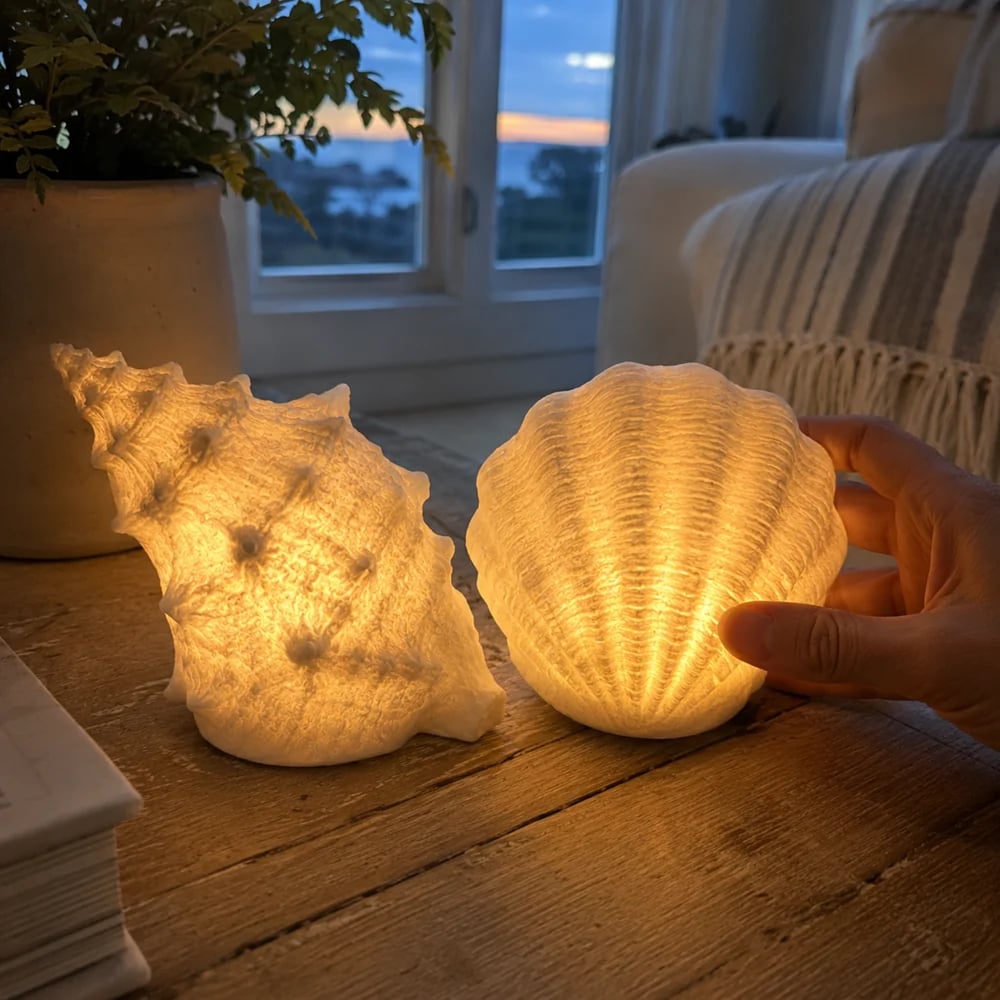 Hand touching glowing seashell lamp