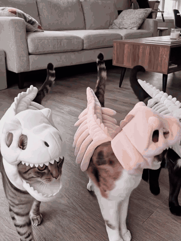 Pets walking and playing in glowing dinosaur skeleton costumes