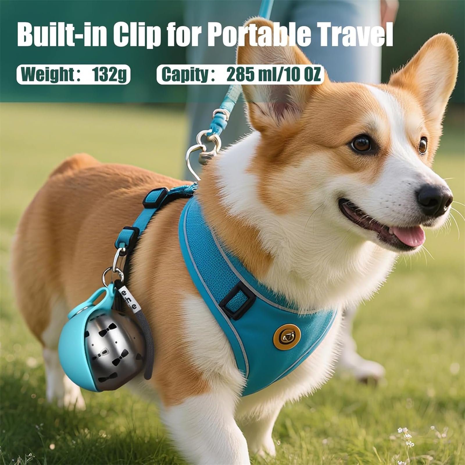 Portable dog water bottle for walks and travel