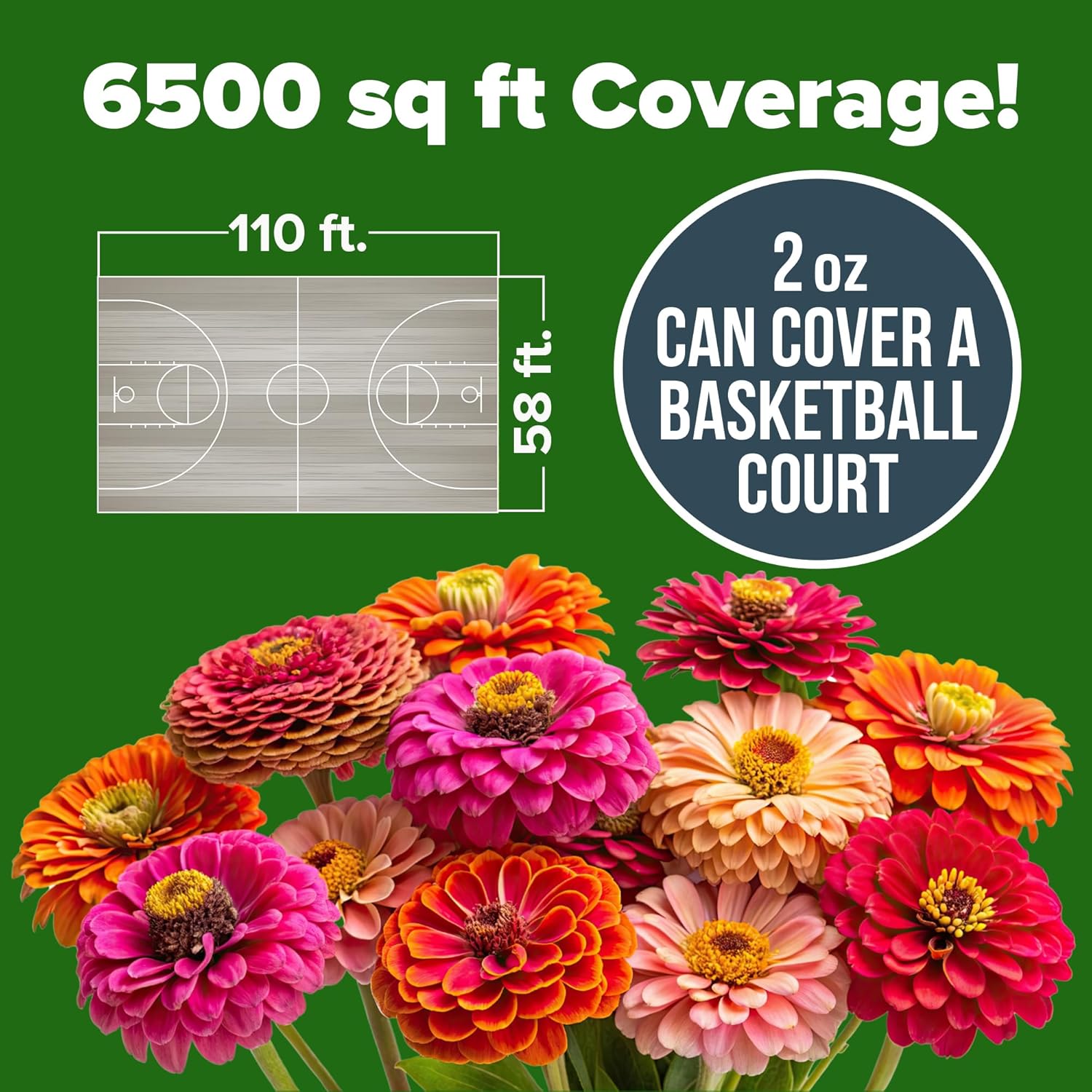 Cut Flower Arrangements